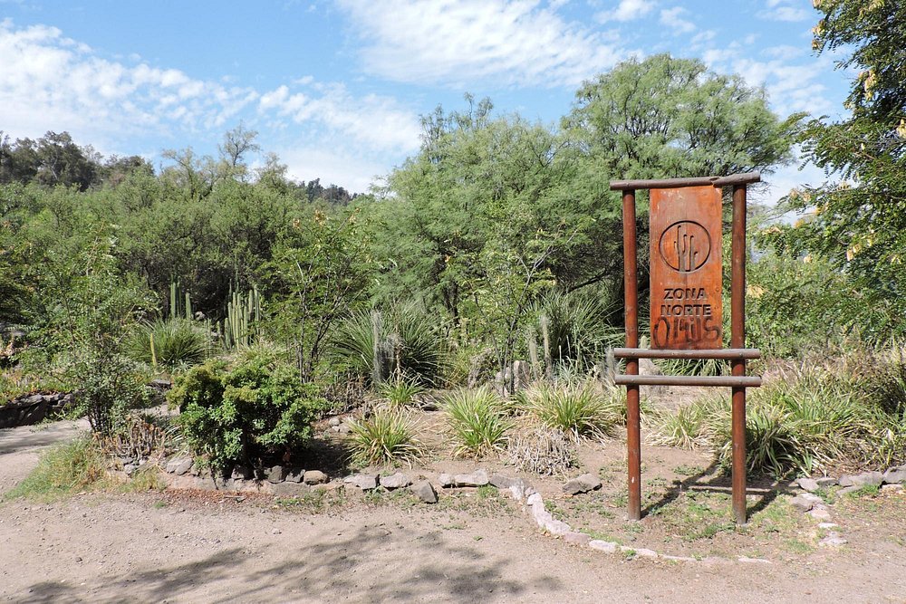 jardin-botanico-mapulemu (2)