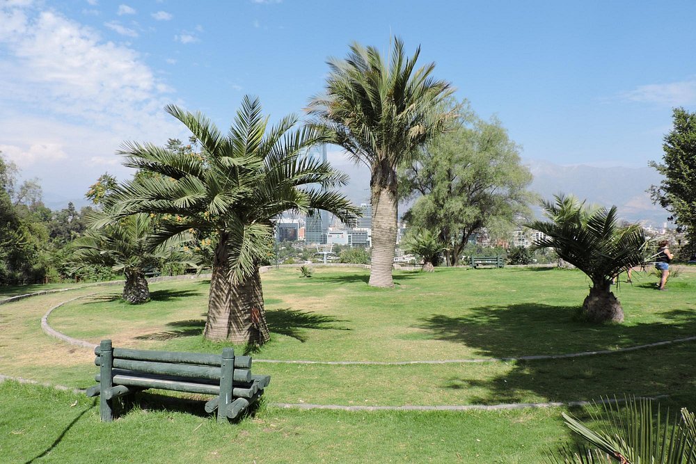 jardin-botanico-mapulemu (3)
